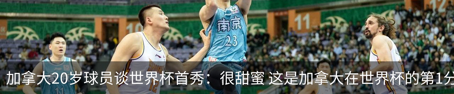 新闻动态